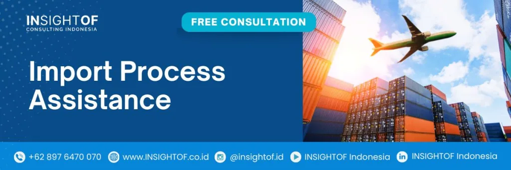 Import Process Assistance INSIGHTOF